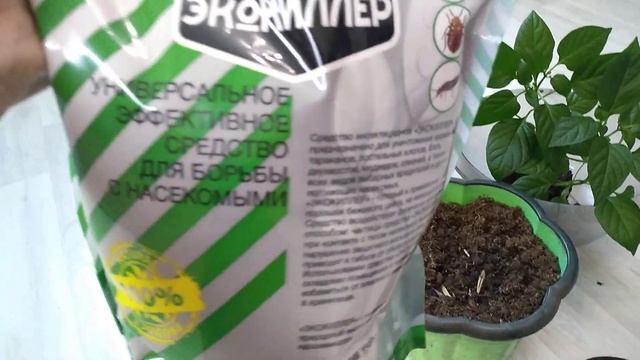 ОДНА ложка порошка И насекомых в земле не будет смотреть онлайн