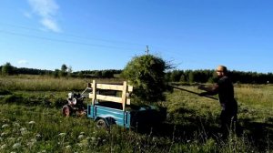 ПЕРЕДЕЛАННАЯ РОТОРНАЯ КОСИЛКА ЗАРЯ СПУСТЯ МЕСЯЦ. ВОЗИМ СЕНО НА МОТОБЛОКЕ
