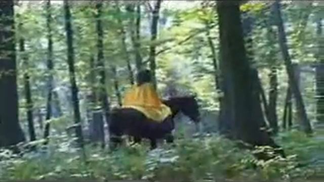 Анжелика Вишня - Я восхищяюсь(И.Ворона) смотреть онлайн