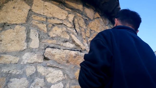 Олень на камені, малюнок. Deer In Stone - Picture.