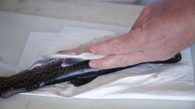 A detailed look at how to fillet a trout and remove the pin bones смотреть онлайн