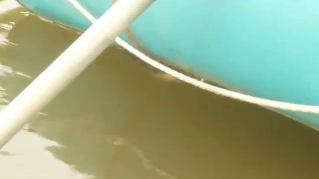 Сахновка 2012 смотреть онлайн