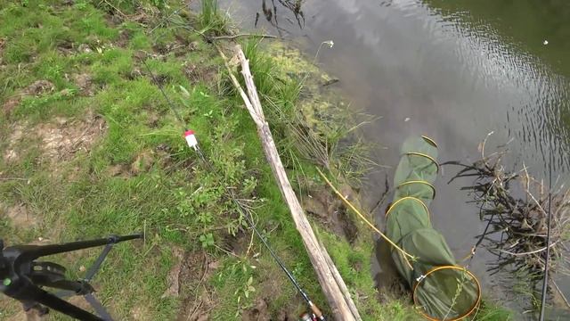 Ловим щуку на живца смотреть онлайн