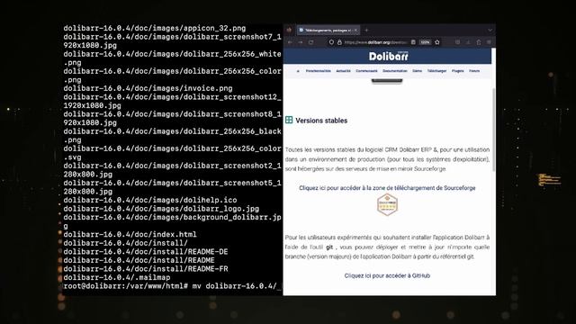 Dolibar Debian 11 смотреть онлайн