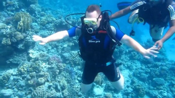 Club Magic Life Sharm el Sheikh 2018