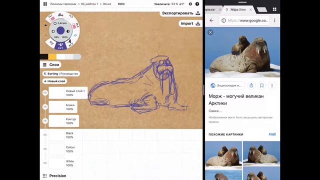 Рисуем моржа в Concepts (часть 1)