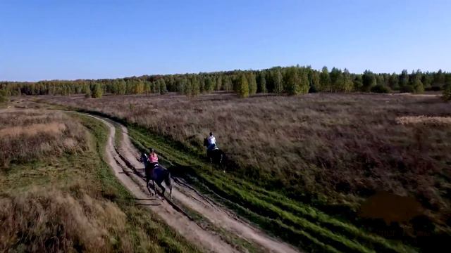 Поселок "Изумрудные кроны" смотреть онлайн