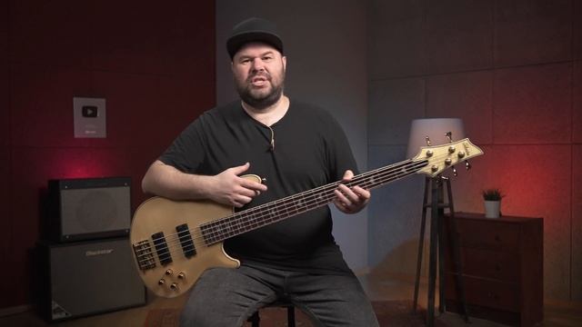 Бас-гитара 5 струн SCHECTER OMEN EXTREME-5 смотреть онлайн