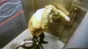 Я в туалете