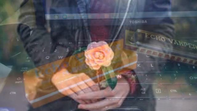 Where Have All The Flowers Gone? (Hohner Echo Vamper Harmonica) смотреть онлайн
