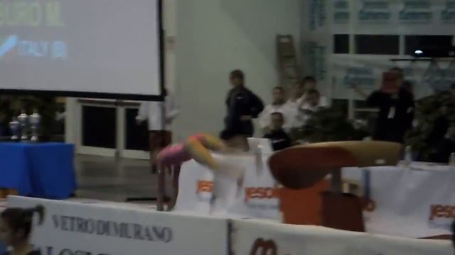 Kayla Ross (USA) VT - Jesolo 2013 - Day 1 смотреть онлайн