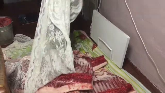 Юля, с Днём Рождения! В начале видео выход мяса с двух свиней смотреть онлайн