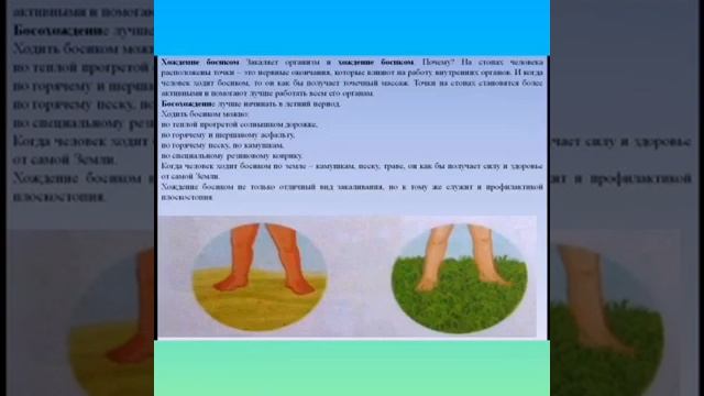 Предшкола. Основы безопасного поведения. ОБП ТЕМА 