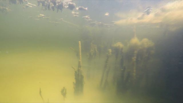 Туман под водой! Печенежское водохранилище. смотреть онлайн