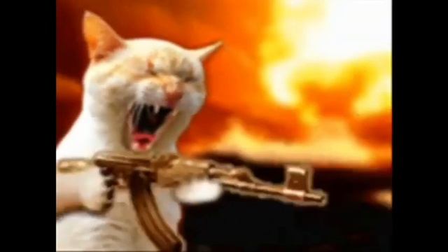 Кот флексит 1 час смотреть онлайн