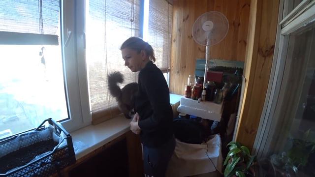 КУПИЛ ФРИКАДЕЛЕК ЗА СВОИ ДЕНЬГИ / МАМА КУПИЛА ПЛАТЬЕ / Я ПОМЫЛСЯ смотреть онлайн