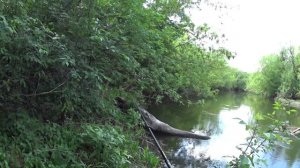 Рыбалка на маленькой речке. Ловля на кренки