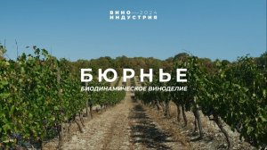 Биодинамическое виноделие в России. Тур на винодельню Бюрнье, Краснодарский край