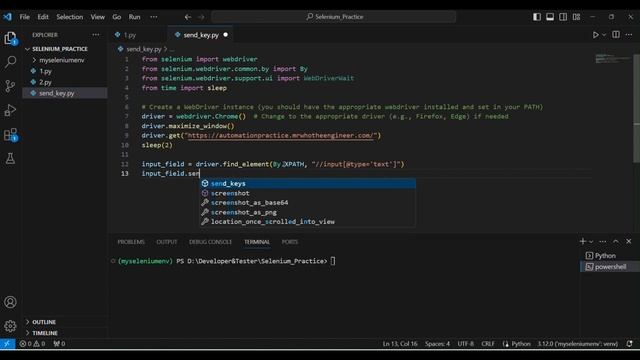 Selenium with Python | send_keys() method example смотреть онлайн