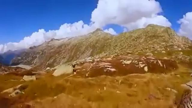 ЕЛЕНА ТОЛСТОВА.КАК ОЧИСТИТЬ ПОДСОЗНАНИЕ смотреть онлайн