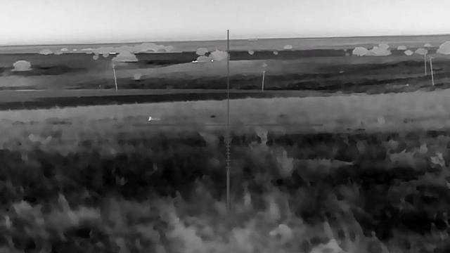 Jackal Shooting. Guide TU650 смотреть онлайн