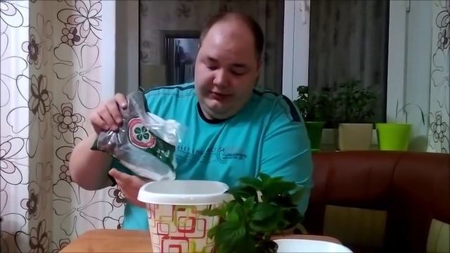 Гортензия комнатная - что делать при покупке и как в дальнейшем ухаживать смотреть онлайн