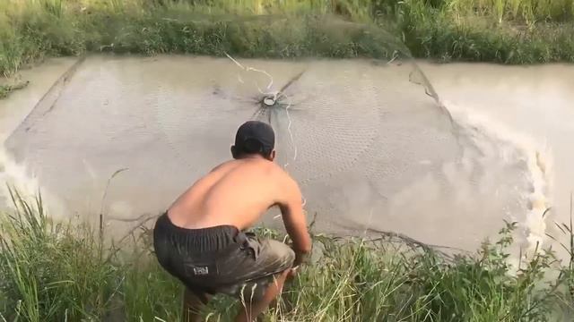 Рыбалка на кастинговую сеть Вот это монстры! Top 5 Most Unbelievable Cast Net Fishing River Monster смотреть онлайн