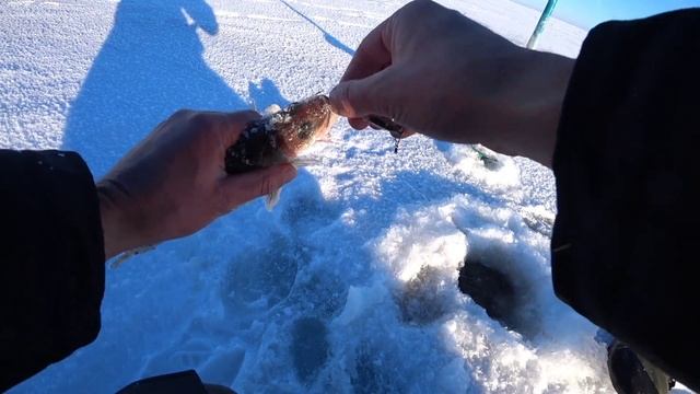 Зимняя рыбалка на судака. Рыбачим на водохранилище. Приехали МЧС. смотреть онлайн