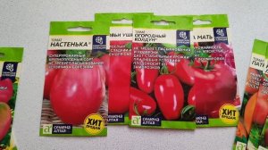 Обзор томатов "Семена Алтая" // томаты для открытого грунта 2022