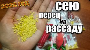 Сею баклажаны и перцы на рассаду/ семена/простой посев семян/ #семена #деревня #перцы #баклажаны