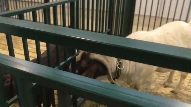 АГРОФАРМ 2020, ВСТРЕЧА С ФЕРМЕР РУ смотреть онлайн