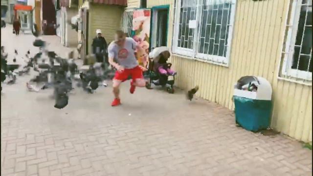 Загнал голубей в магазин смотреть онлайн