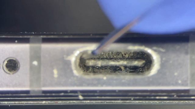 Cleaning USB-C charging port under the microscope смотреть онлайн