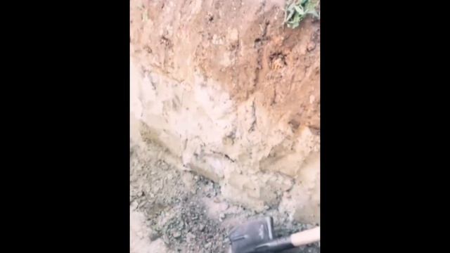 БОЛЬШОЙ ХАЛЯВНЫЙ БАССЕЙН ИЗ ДОСОК И ПЛЕНКИ СВОИМИ РУКАМИ смотреть онлайн