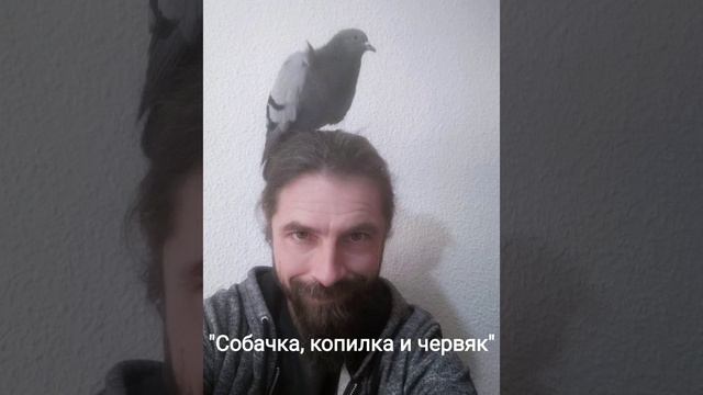 Алексей Бабошин, проповедь "Как перестать ненавидеть своих врагов и начать их любить" смотреть онлайн