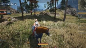 Споты лошадей Дригана (BlackDesert,БДО) Новинка!