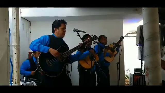 El andariego Trio Esencia Romantica de Tula de Allende Hidalgo Mexico смотреть онлайн