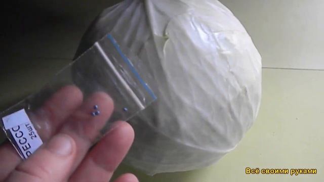 Самая Лучшая и Урожайная  Капуста 