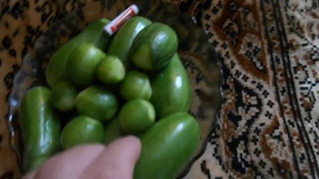 Огурчики для детей-чупа чупс,без шипые смотреть онлайн