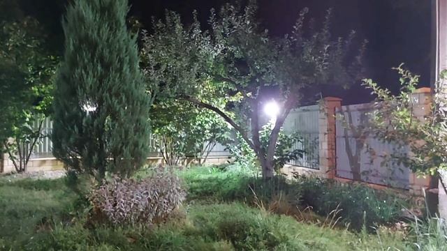 ТАТАРЫ. ИНГА ХОСРОЕВА. ВЕДЬМИНА ИЗБА. смотреть онлайн