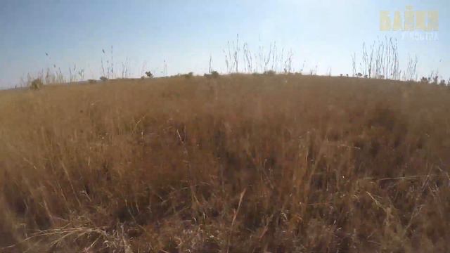 В погоне за удачными фото, мужчина попал в ловушку львов людоедов. смотреть онлайн