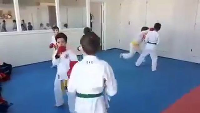 Тренировка с чемпионом по каратэ стиль шотокан. Кумитэ спаринг смотреть онлайн