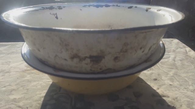 Как прорастить зерно для кур, уток, гусей. Пророщенное зерно смотреть онлайн