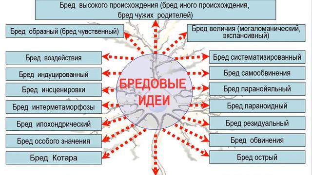 Лекция 2 1 смотреть онлайн