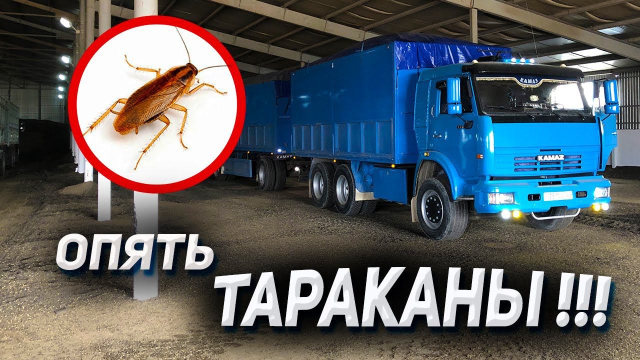 застрял с ТАРАКАНАМИ на КАМАЗЕ смотреть онлайн