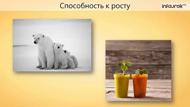 Зоология наука о животных смотреть онлайн