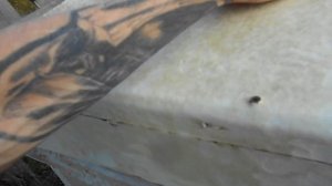 ???Карника Ниска, Карника Альпийка - Моё Мнение.???