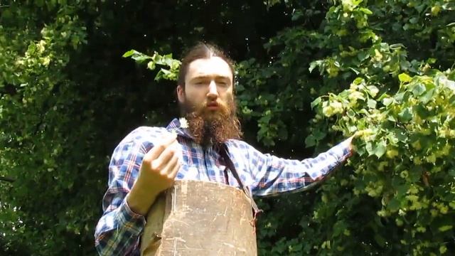 Сбор цветков Липы смотреть онлайн