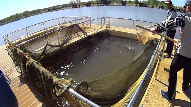 Fisherix смотреть онлайн