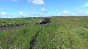 РЕНО DUSTER. СТОКОВЫЙ ДАСТЕР НА БЕЗДОРОЖЬЕ